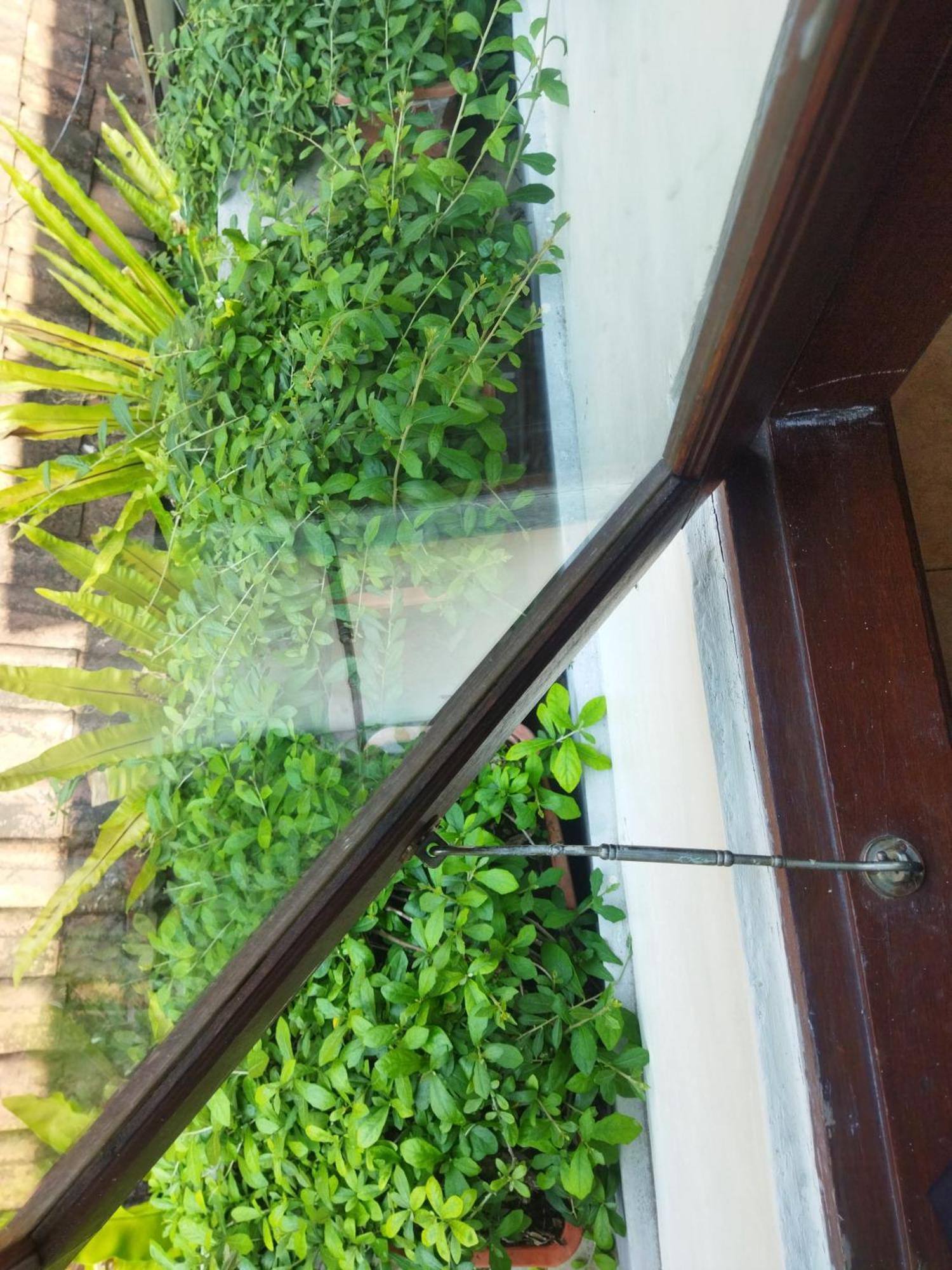 Wahwik'S House Hotell Ubud Exteriör bild