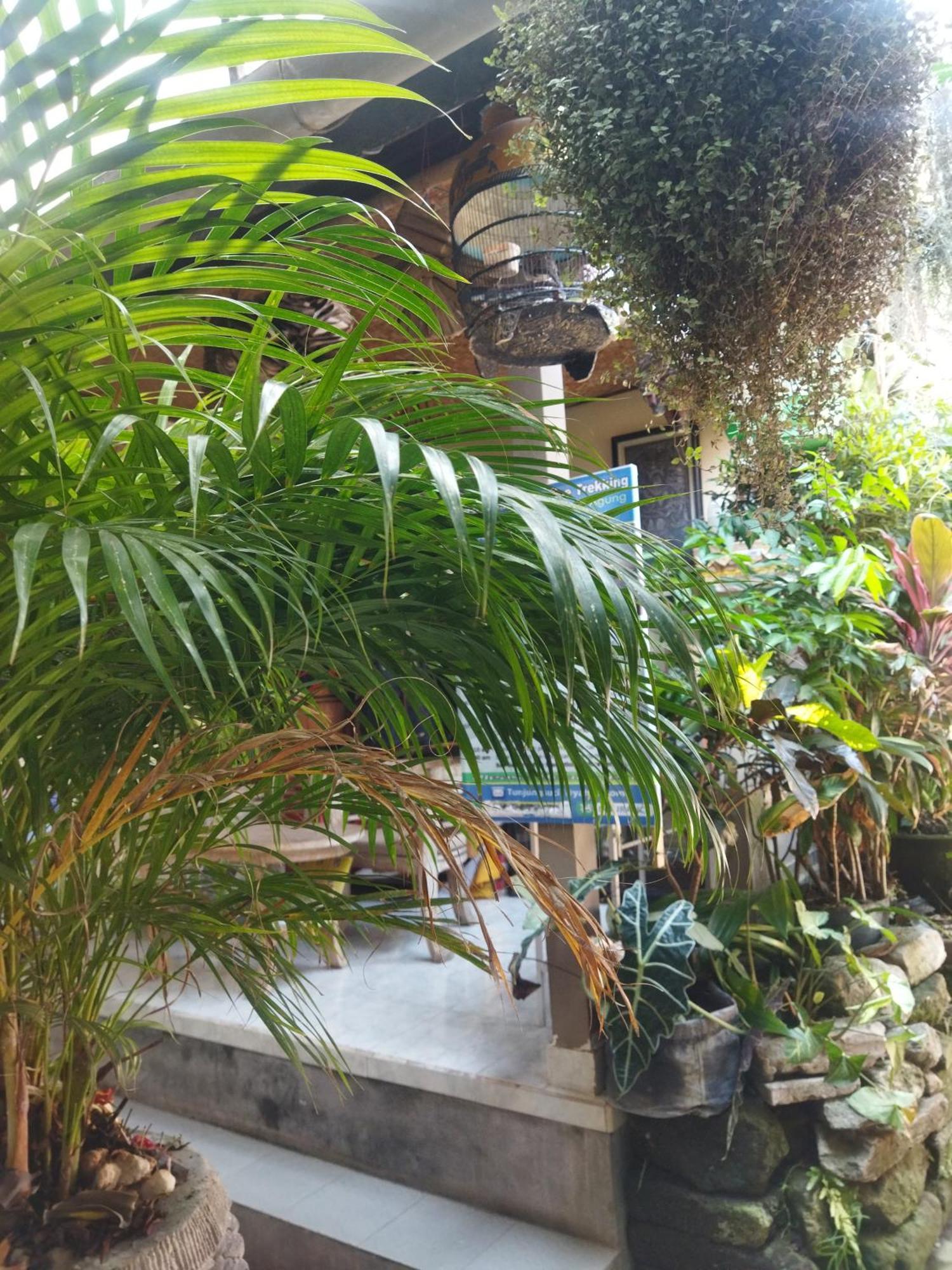 Wahwik'S House Hotell Ubud Exteriör bild