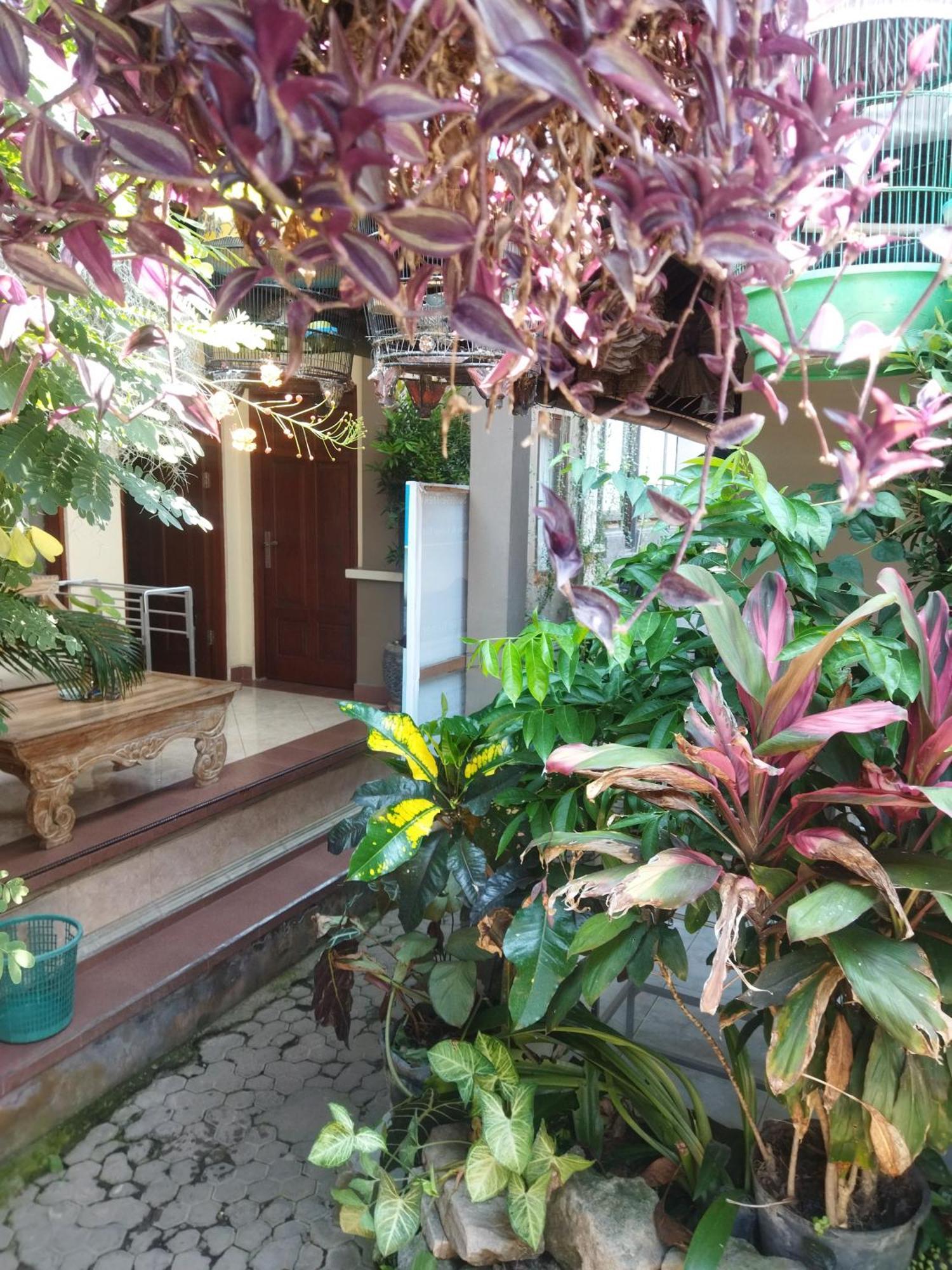 Wahwik'S House Hotell Ubud Exteriör bild